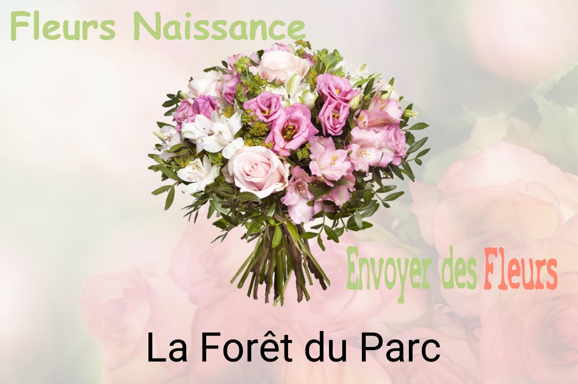 Bouquet de fleurs de naissance livré à La Forêt-du-Parc